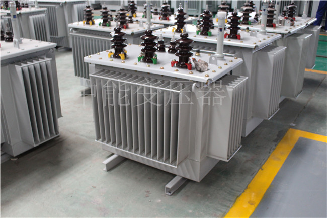 蚌埠S22-250KVA/10KV变压器